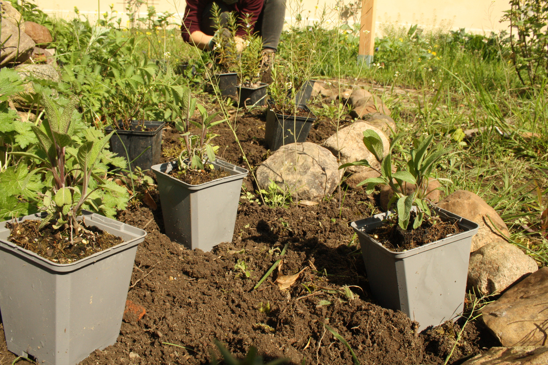 Schritt 3: Planung