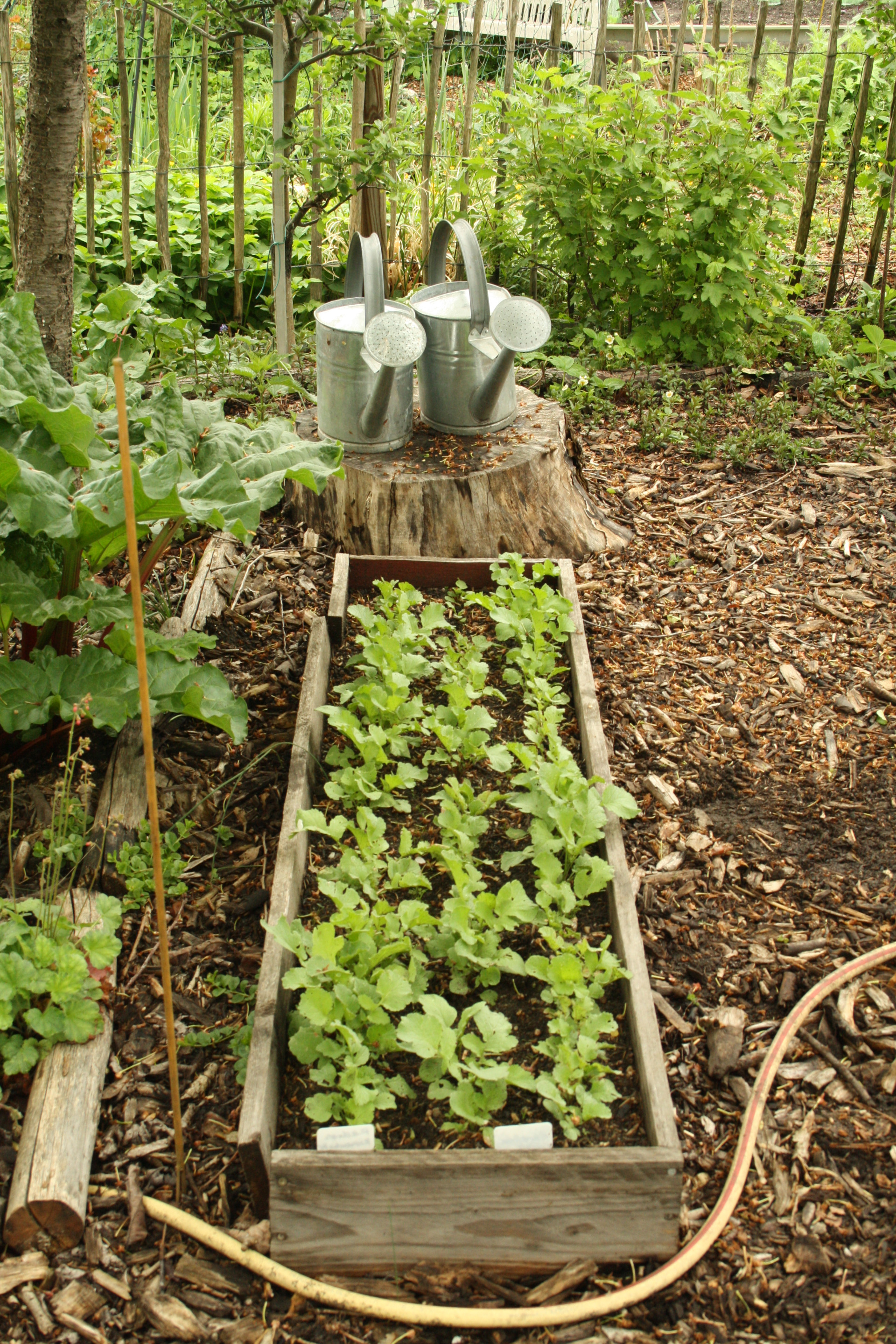 Garten3