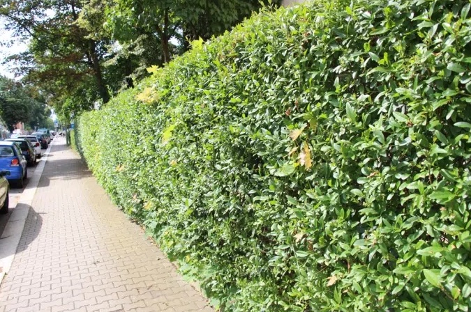 Schritt 1: Suche einen Platz aus